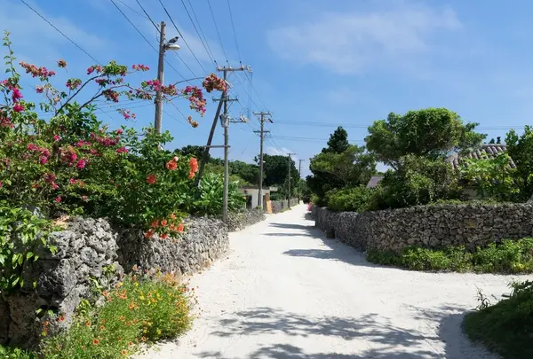 竹富島