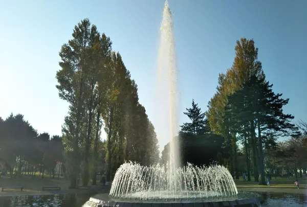彩の森入間公園