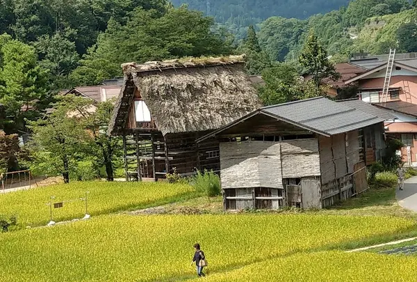 和田家