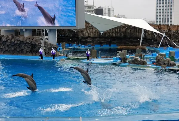 名古屋港水族館