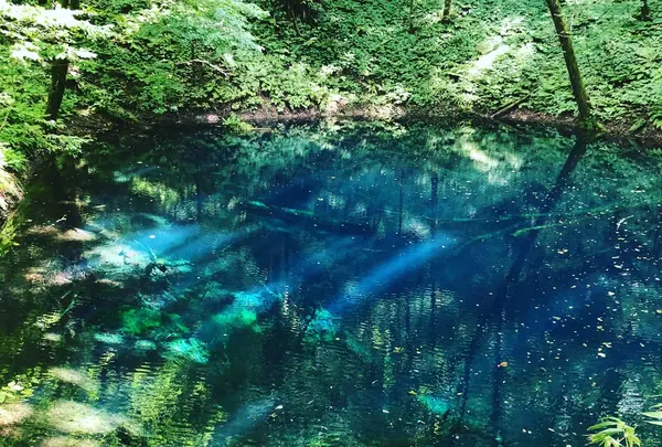 アオーネ白神十二湖の写真・動画_image_414301