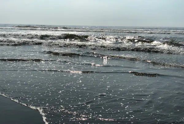 九十九里海岸の写真・動画_image_415429