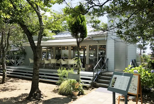 Sghr cafe