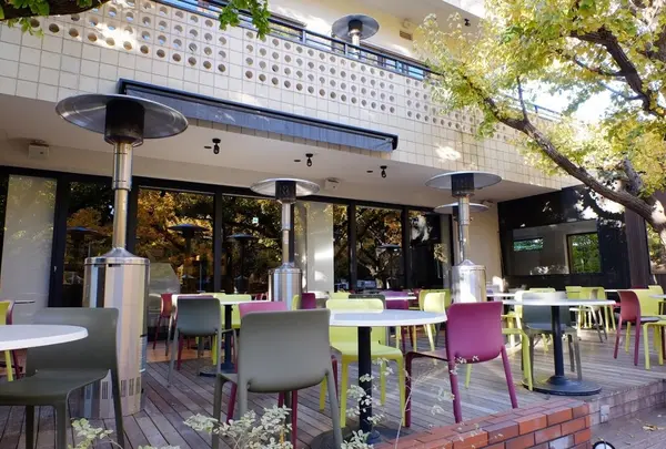 神宮外苑いちょう並木