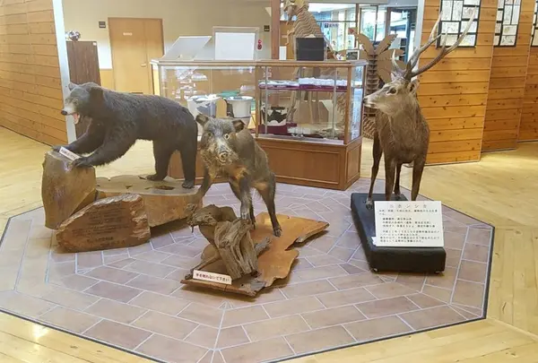 山梨県立富士湧水の里水族館 森の中の水族館。