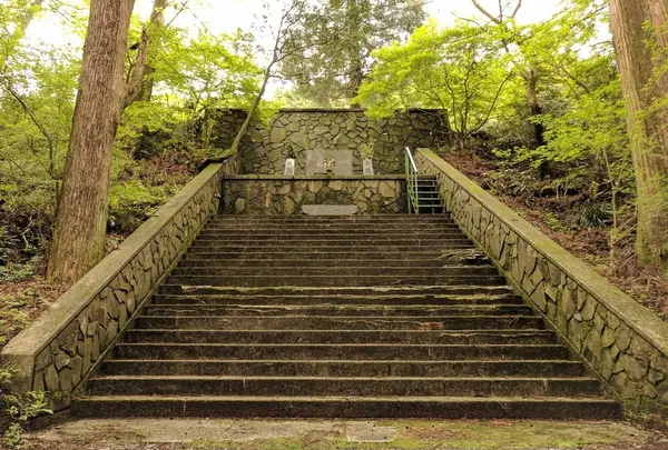 箱根旧街道杉並木