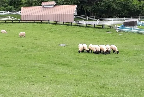 まきば公園