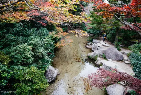 紅葉谷公園