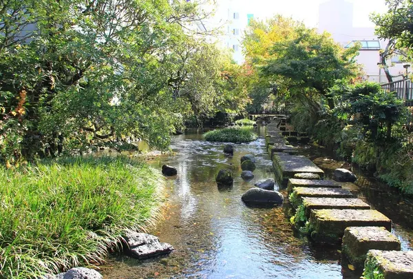 源兵衛川親水公園