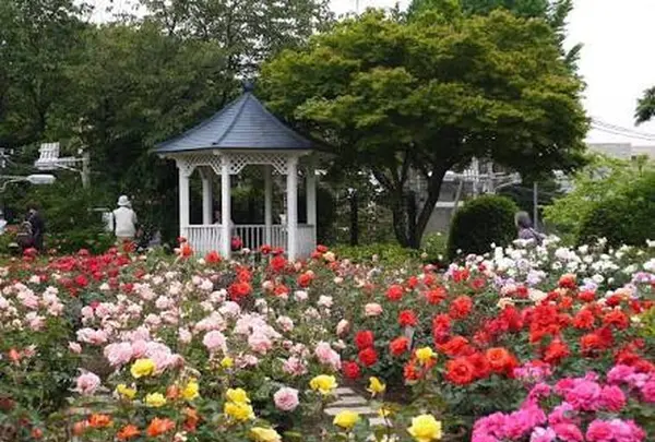 元町地区