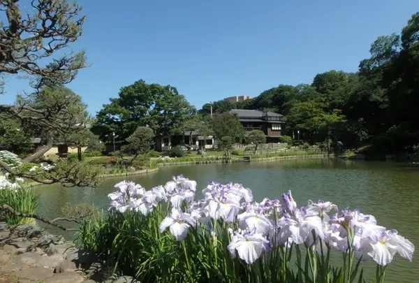 肥後細川庭園