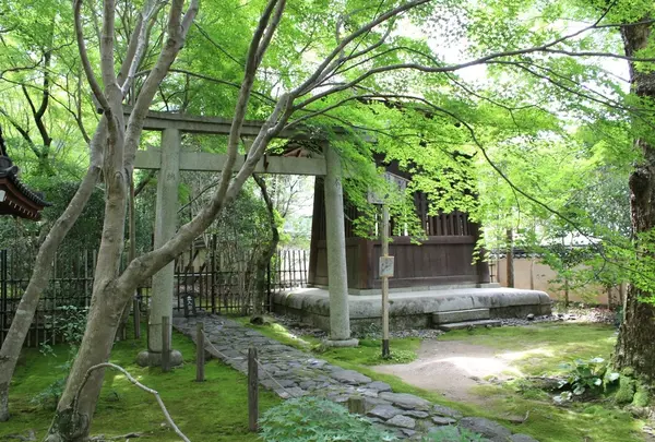 蓮華寺