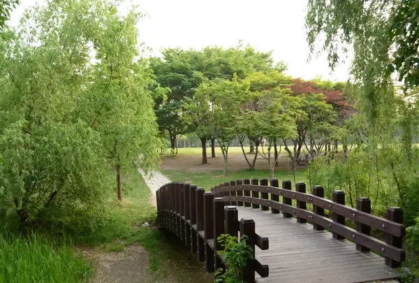 ソウルの森