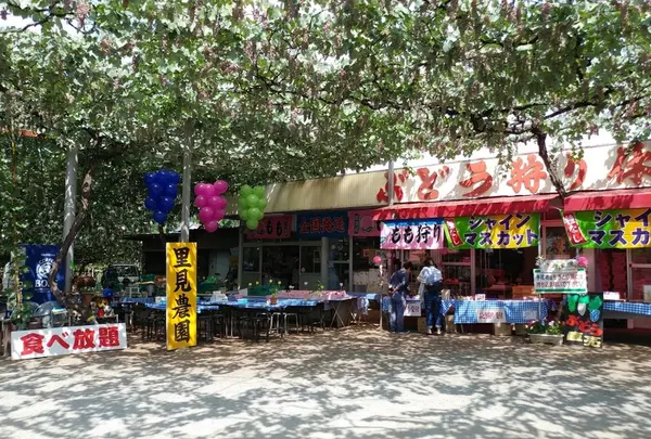 里見農園
