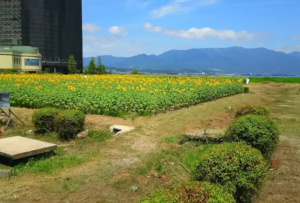 第1なぎさ公園
