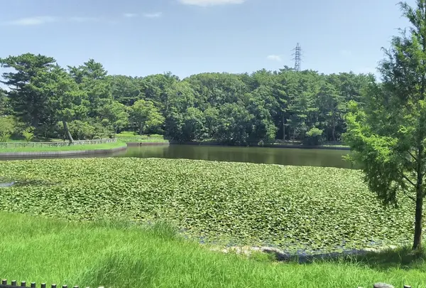 岡崎市 南公園