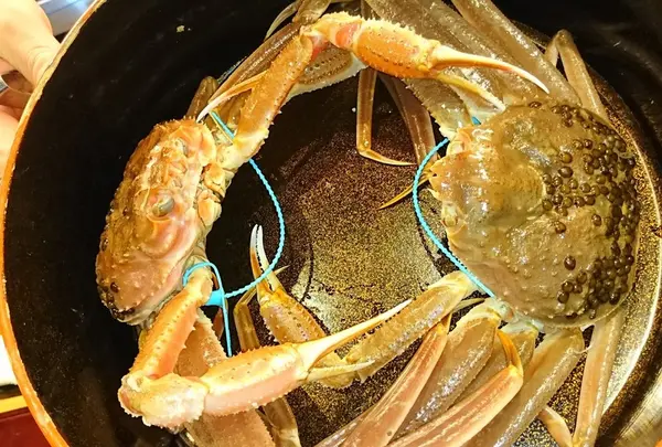 日々魚数寄 東木