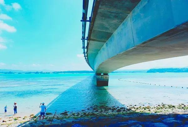 古宇利大橋の写真・動画_image_420906