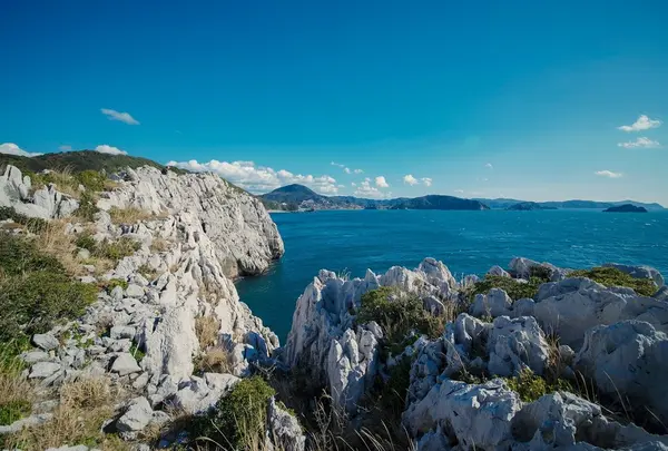 道の駅 白崎海洋公園