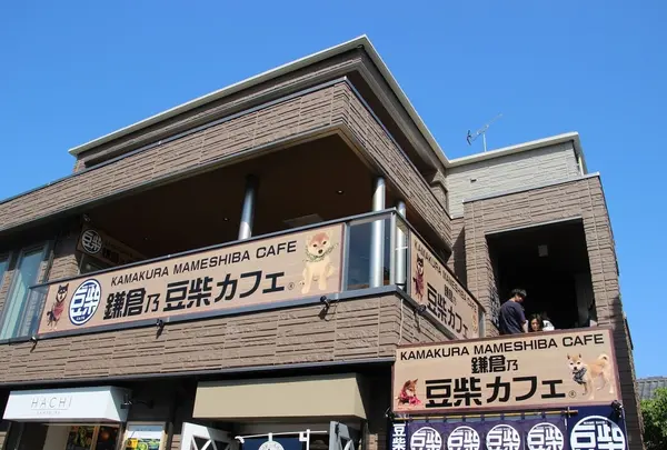 鎌倉乃豆柴カフェ