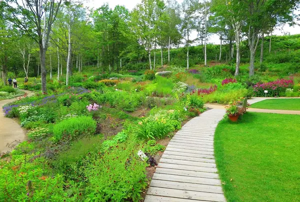 大雪 森のガーデン