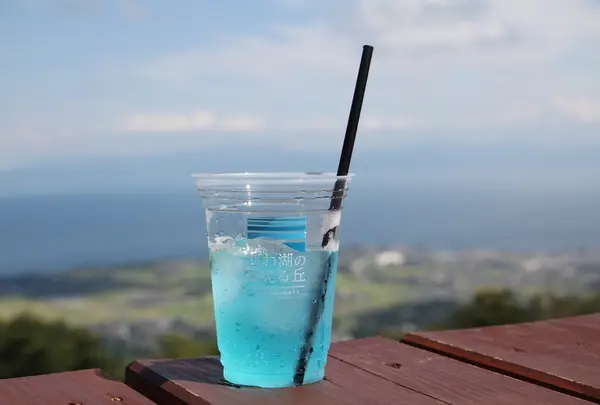 びわ湖のみえる丘