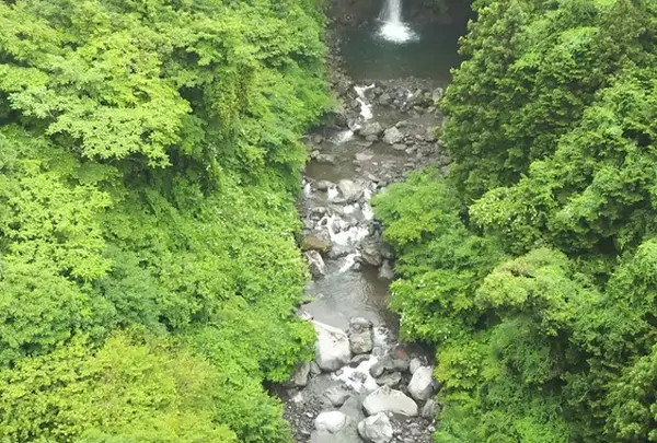 バンジージャパン富士バンジー Bungy Japan Fuji Bungy