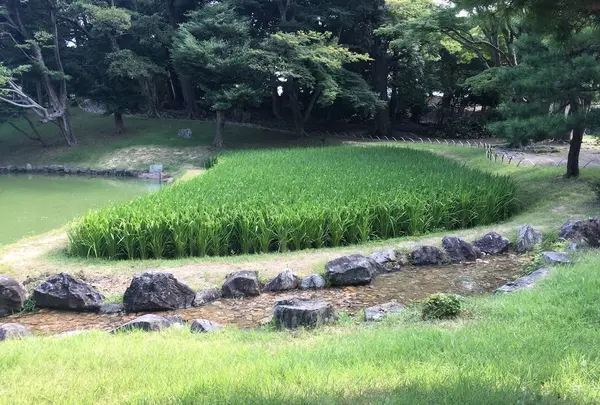 玄宮園