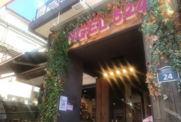 NGEL524