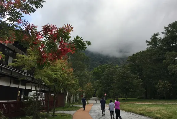 日光湯元温泉の写真・動画_image_425095
