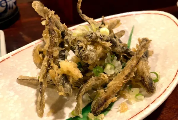 天ぷら新宿つな八 (天婦羅綱八)