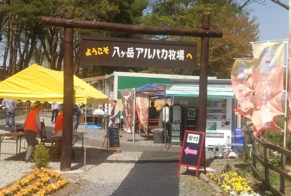 八ヶ岳アルパカ牧場