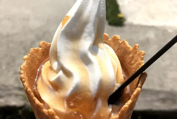 南阿蘇自然派ソフト