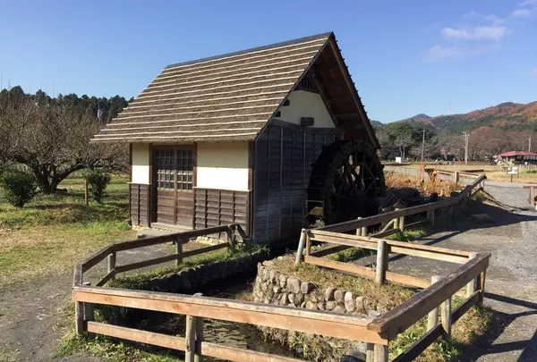 巾着田