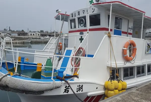 ほたるいかミュージアム