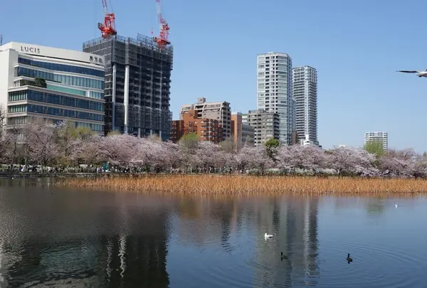 上野公園