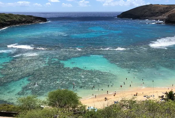 Hanauma Bay（ハナウマ湾）の写真・動画_image_430179