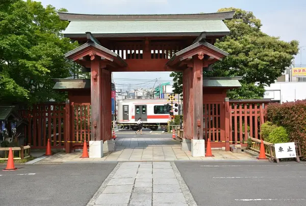 妙蓮寺