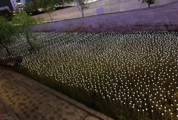 DongDaemun Design Plaza (동대문디자인플라자 (DDP))