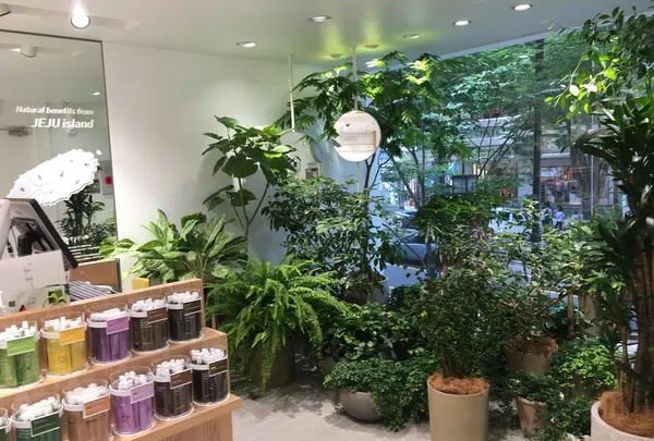 イニスフリー表参道本店