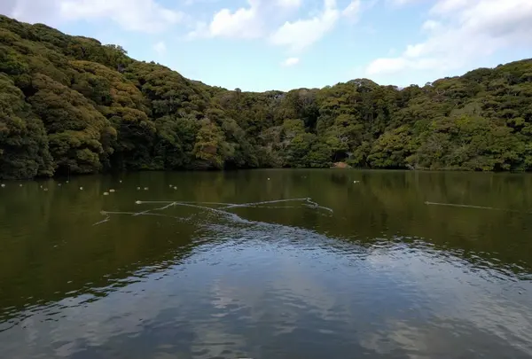 桜ケ池