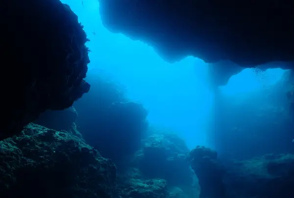 宮古島ダイビング