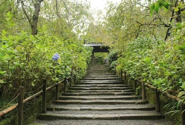 明月院（あじさい寺）