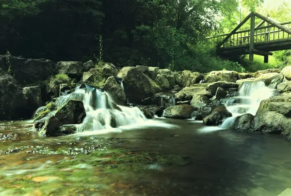 白川水源