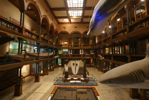 ビショップ博物館