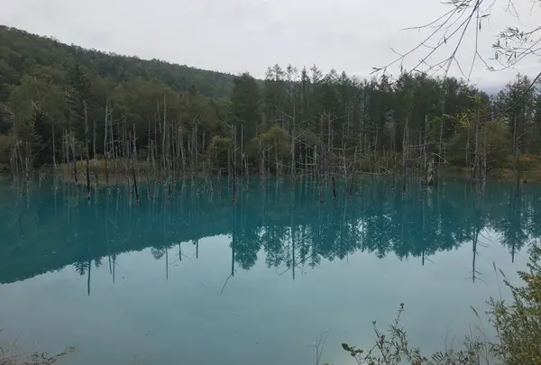 青い池