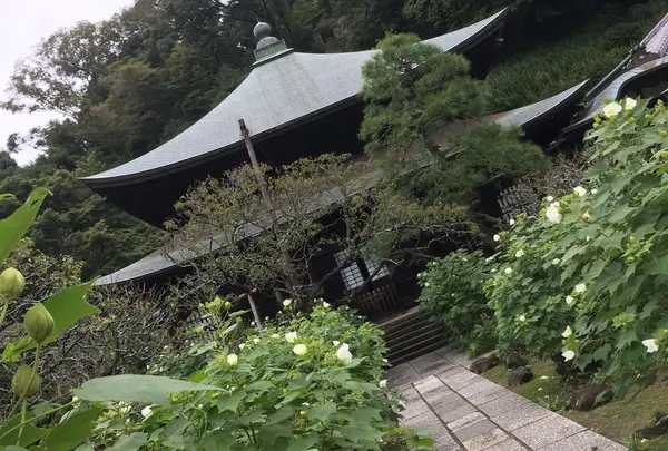 瑞泉寺の写真・動画_image_435211