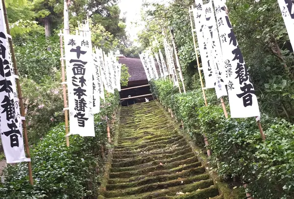 杉本寺の写真・動画_image_435213
