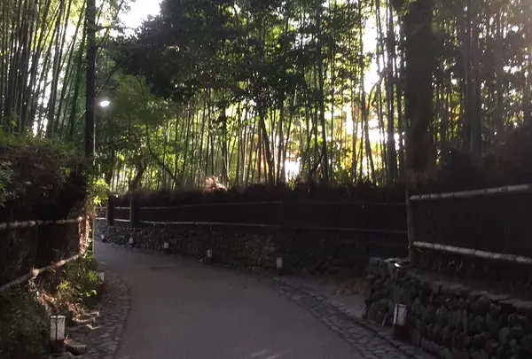嵯峨野 竹林の道
