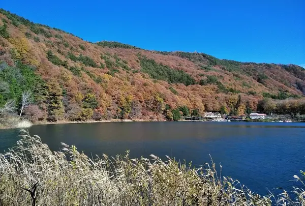 四尾連湖